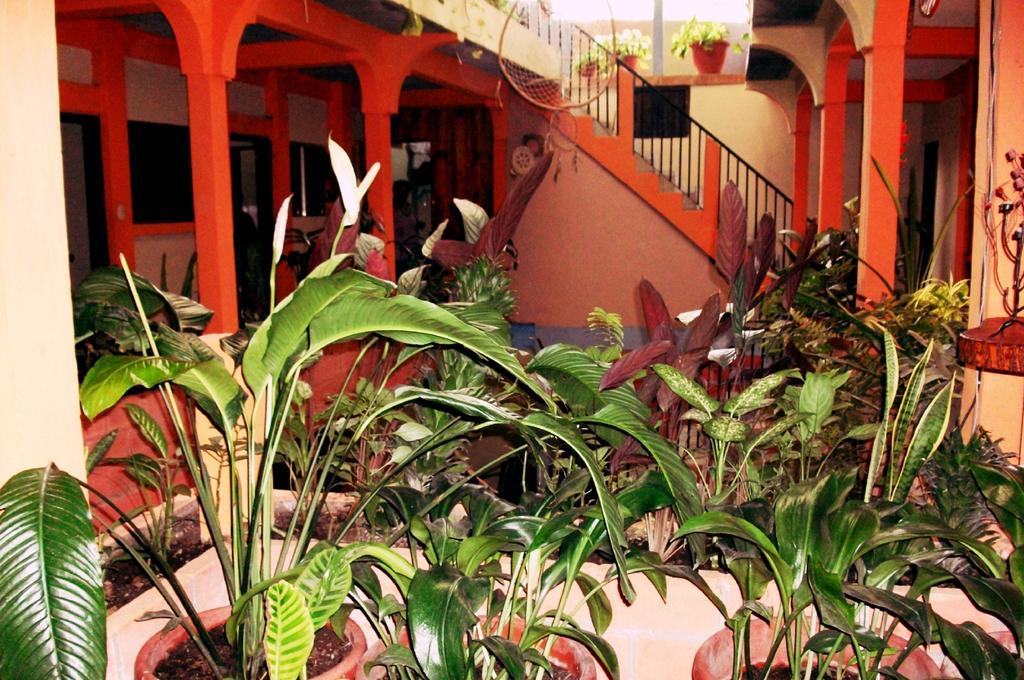 Hotel & Hostal Yaxkin Copán Pokój zdjęcie